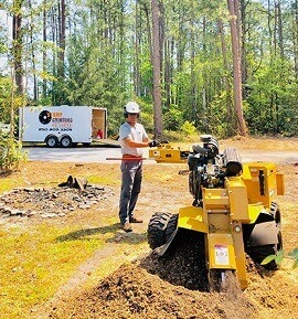 Steve Gridning a Stump