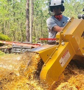 Tree Grinding