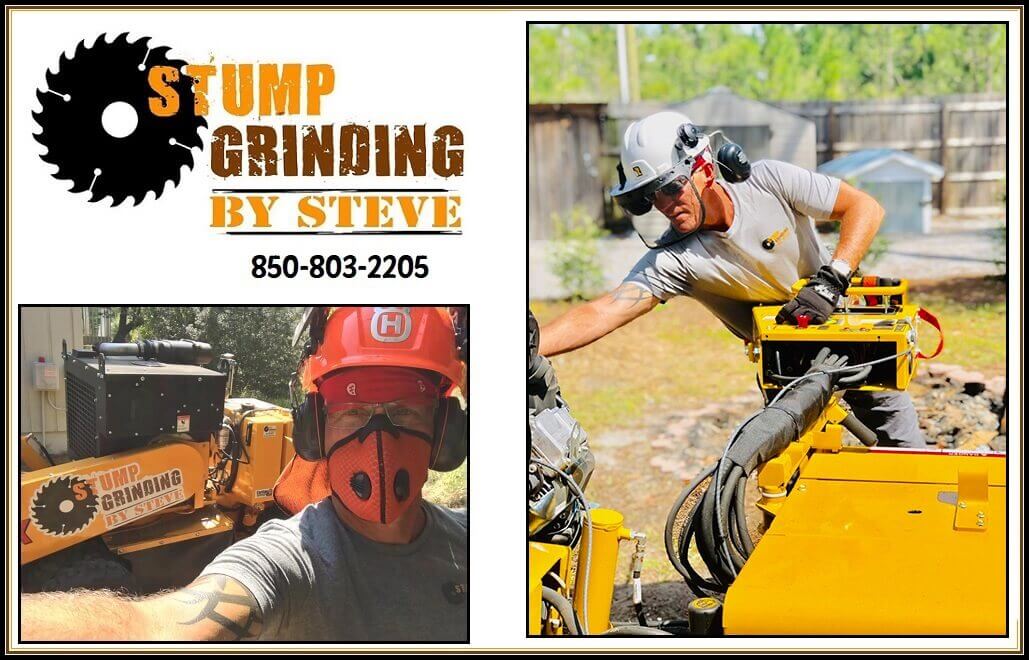 Stump grinding flyer, 2493 Weston MA